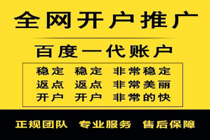 谷歌SEM广告策略：某电商平台的成功逆袭案例